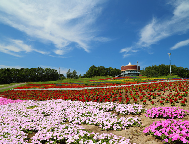 More than just drift ice! The Mt. Tento area is fun all year at these sightseeing spots!